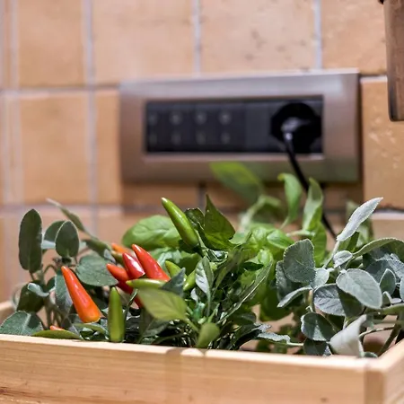 Luxury Loft 31 * Messina